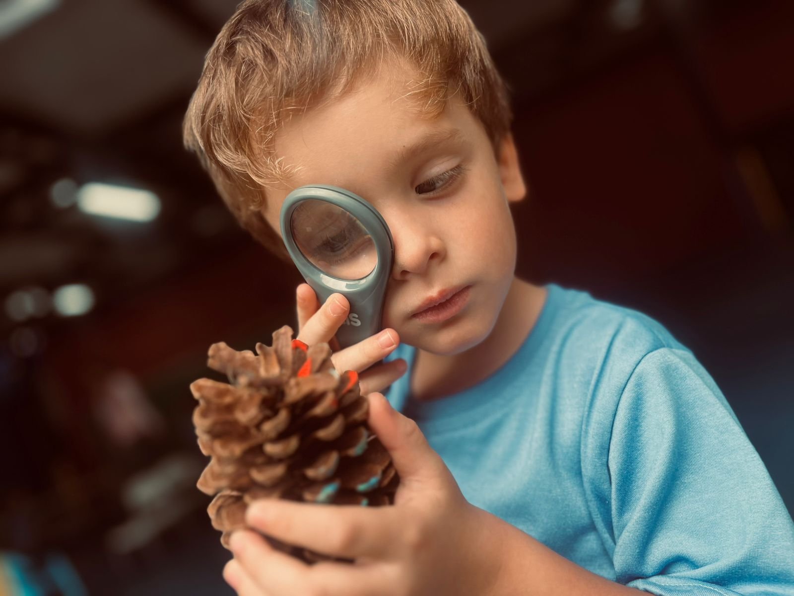 Um Novo Ciclo, Novas Experiências